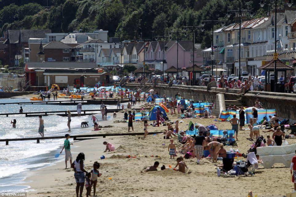 Pink Beach Guest House Shanklin Dış mekan fotoğraf